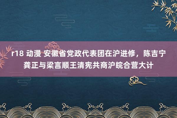 r18 动漫 安徽省党政代表团在沪进修，陈吉宁龚正与梁言顺王清宪共商沪皖合营大计