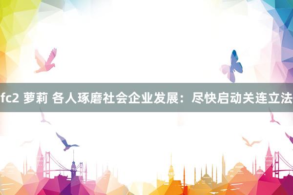 fc2 萝莉 各人琢磨社会企业发展：尽快启动关连立法
