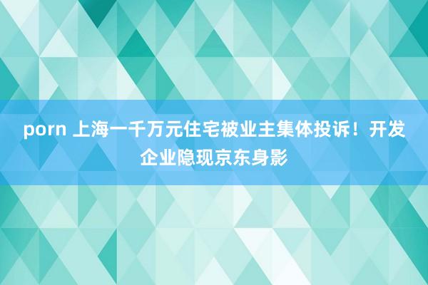 porn 上海一千万元住宅被业主集体投诉！开发企业隐现京东身影