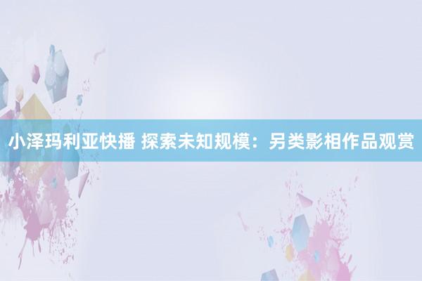小泽玛利亚快播 探索未知规模：另类影相作品观赏