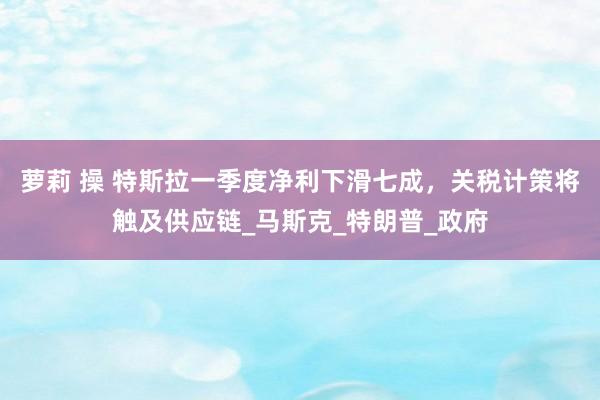 萝莉 操 特斯拉一季度净利下滑七成，关税计策将触及供应链_马斯克_特朗普_政府