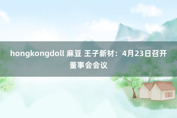 hongkongdoll 麻豆 王子新材：4月23日召开董事会会议
