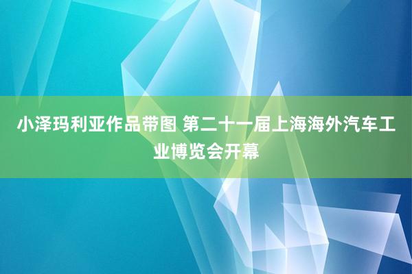 小泽玛利亚作品带图 第二十一届上海海外汽车工业博览会开幕