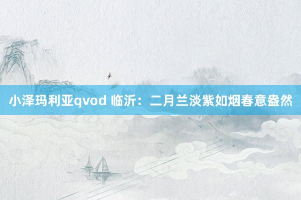 小泽玛利亚qvod 临沂：二月兰淡紫如烟春意盎然