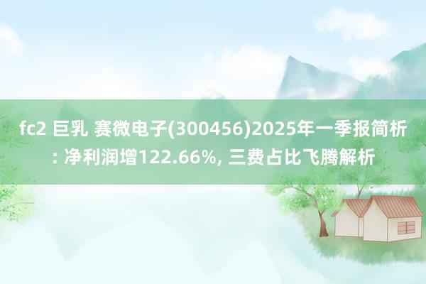 fc2 巨乳 赛微电子(300456)2025年一季报简析: 净利润增122.66%， 三费占比飞腾解析