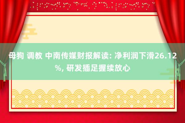 母狗 调教 中南传媒财报解读: 净利润下滑26.12%， 研发插足握续放心