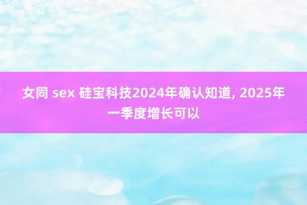 女同 sex 硅宝科技2024年确认知道， 2025年一季度增长可以