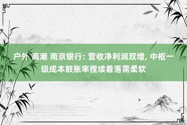 户外 高潮 南京银行: 营收净利润双增， 中枢一级成本鼓胀率捏续着落需柔软