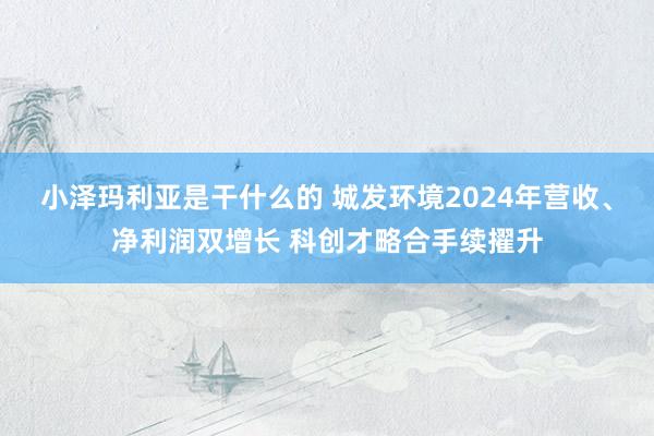 小泽玛利亚是干什么的 城发环境2024年营收、净利润双增长 科创才略合手续擢升