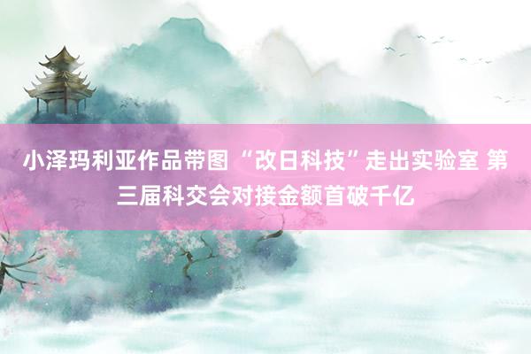 小泽玛利亚作品带图 “改日科技”走出实验室 第三届科交会对接金额首破千亿